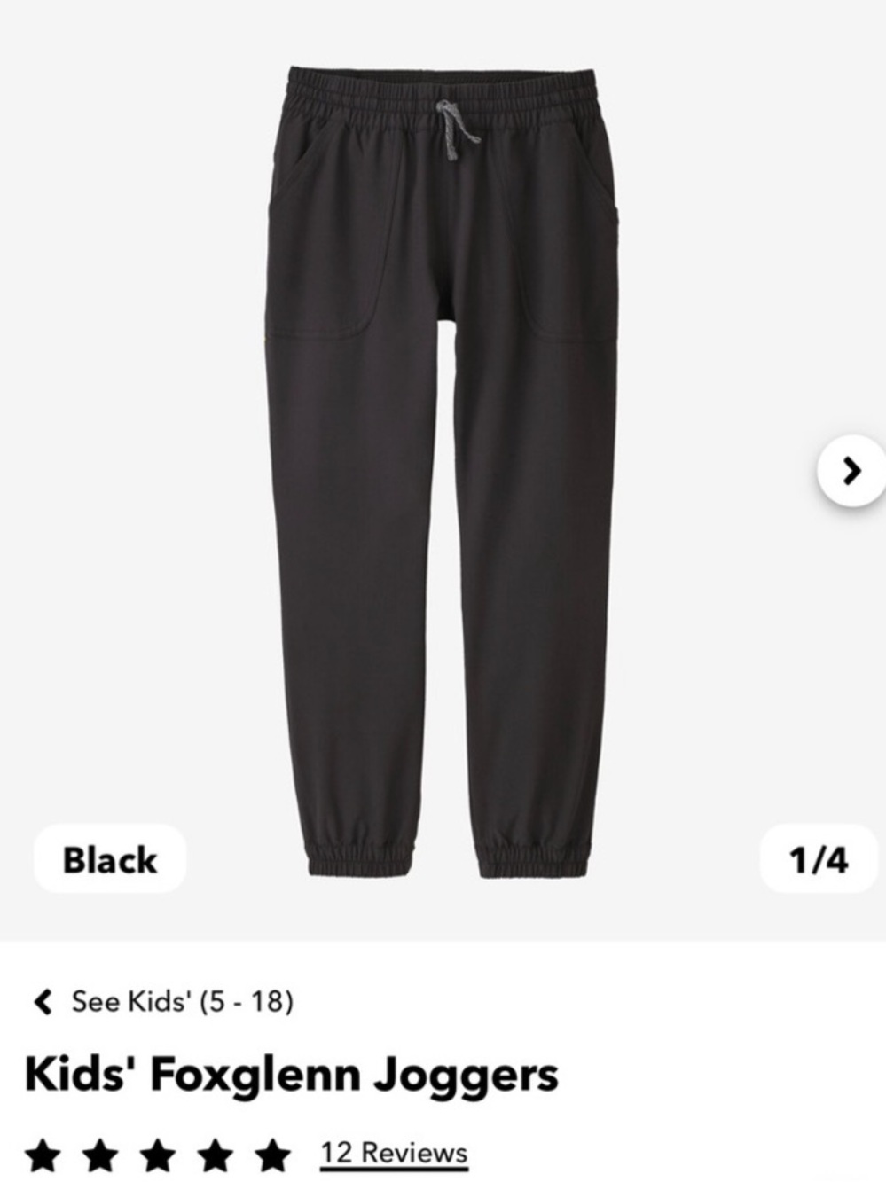 Patagonia Kids Foxglenn Joggers Girls Size 12 Black